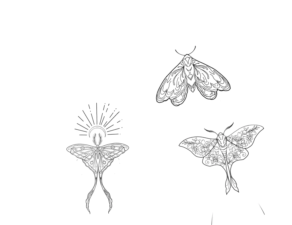 Butterfly-moth