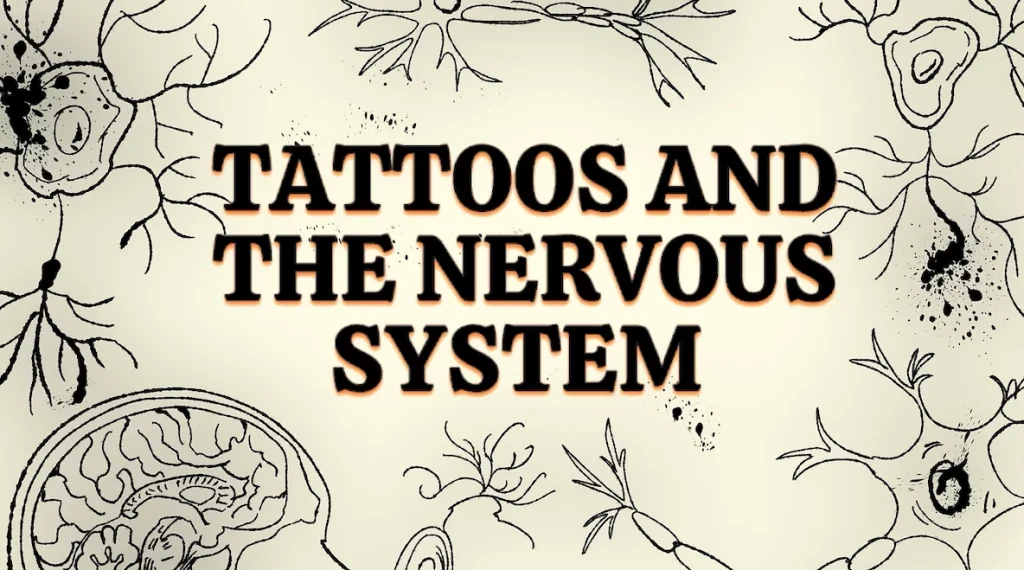 76f054_0198d35f060a4d7cbed8edb080c3bf4c~mv2