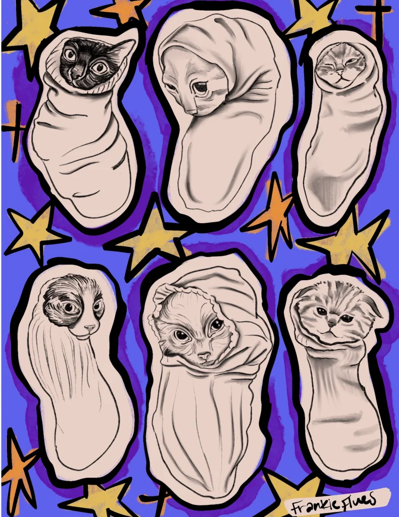 Cats-kitten-cute-socks